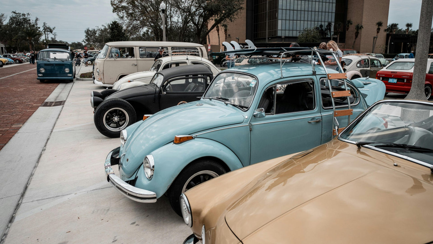 Cinture Auto